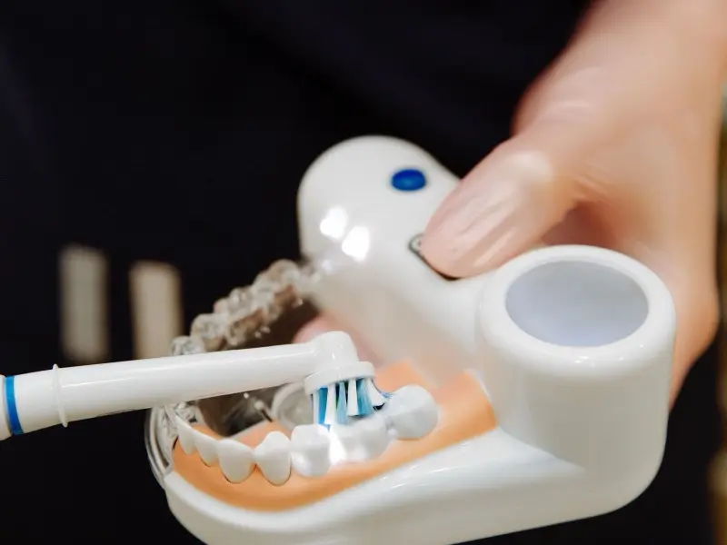 A dentist demonstrating correct brushing technique on a dental model
